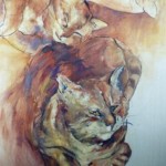 Dieren