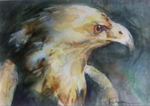 web_dieren_image00011
