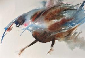 web_dieren_image00014