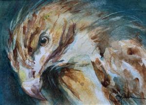 web_dieren_image00018